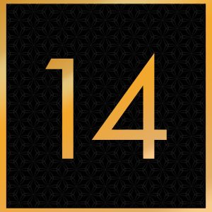 Shunga Noel 2025 Numbers 14