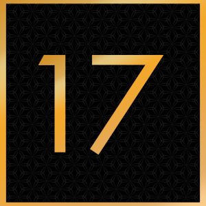 Shunga Noel 2025 Numbers 17