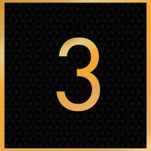 Shunga Noel 2025 Numbers 3