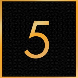 Shunga Noel 2025 Numbers 5