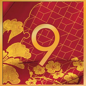 Shunga Noel 2025 Numbers 9